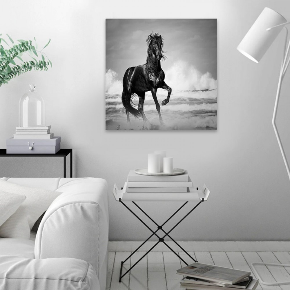 Πίνακας σε καμβά "Black Horse" Megapap ψηφιακής εκτύπωσης 60x60x3εκ.